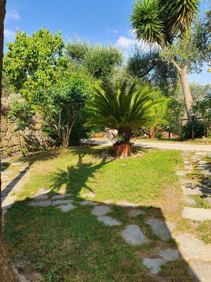 Bed and Breakfast L'Uliveto D'Argento Finale Ligure Exterior foto